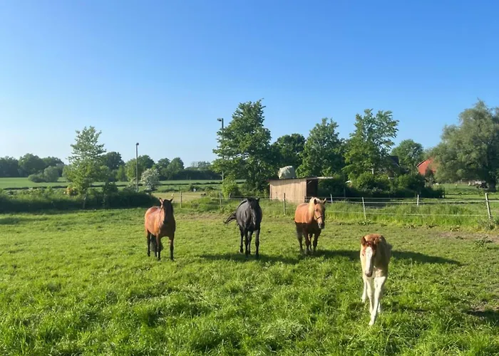 Im Schloss * Steinburg